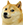 :shibe: :shibe: